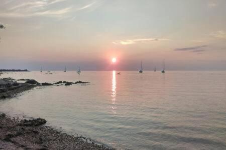 Murin Delfin Apartment Umag Exterior photo